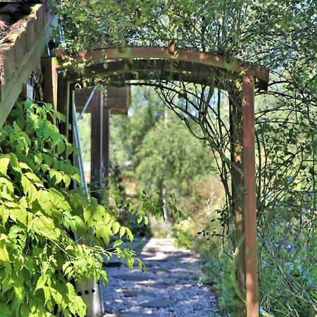 Norwegisches Blockhaus Villa Bad Muenstereifel Kültér fotó