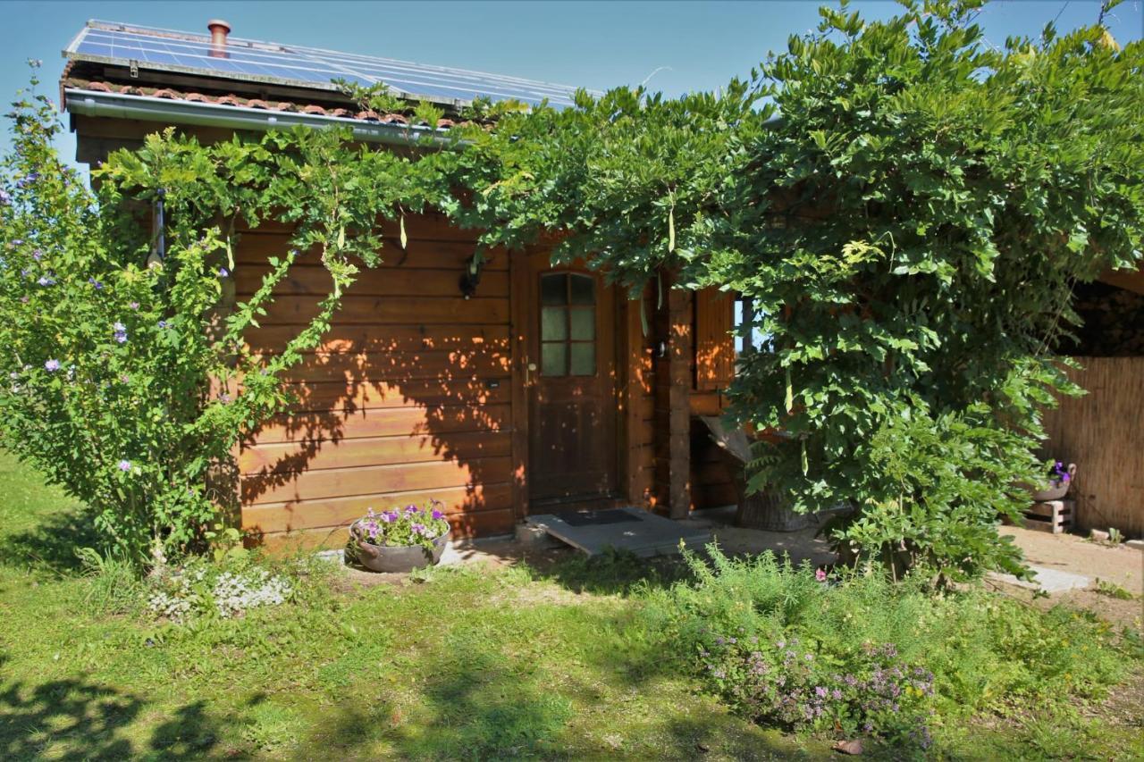 Norwegisches Blockhaus Villa Bad Muenstereifel Kültér fotó